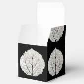 Ballotins Aspen Feuille Squelette 1 (Ouvert)