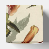 Ballotins Audubon Throsé de colibri (Haut)