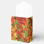 Ballotins automne Feuilles Ballotin (Ouvert)