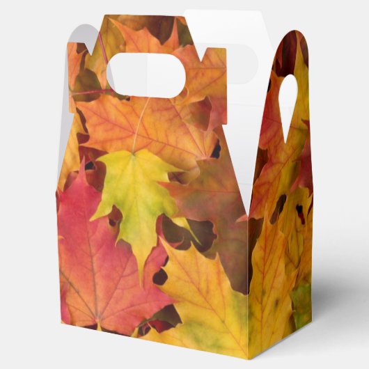 Ballotins Automne Feuilles Mariage Favor boîte cadeau (Ouvert)