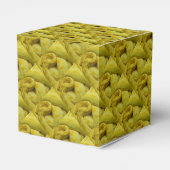 Ballotins Awesome Yellow Burmese Python (Arrière)