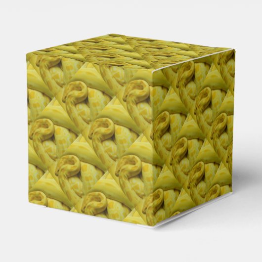 Ballotins Awesome Yellow Burmese Python (Arrière)