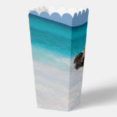 Ballotins Azure Ocean Sandy Beach Mariage photo (Verso)