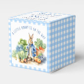 Ballotins Baby shower de petit garçon Peter lapin (Verso)