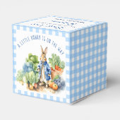 Ballotins Baby shower de petit garçon Peter lapin (Arrière)