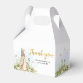 Ballotins Baby shower Peter Rabbit (Arrière)