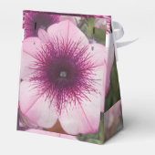 Ballotins Baisers (Arrière)