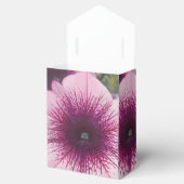 Ballotins Baisers (Ouvert)