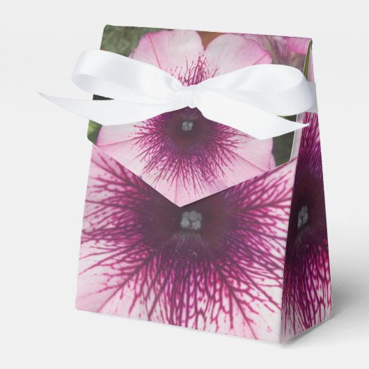 Ballotins Baisers (Verso)