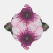 Ballotins Baisers (Déplié)