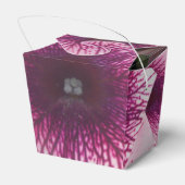 Ballotins Baisers (Arrière)