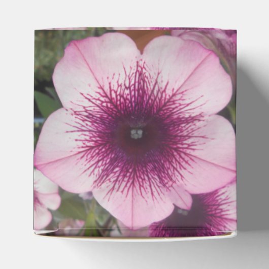 Ballotins Baisers (Haut)