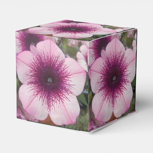 Ballotins Baisers (Arrière)