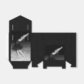 Ballotins Ballerina dans la neige - (Déplié)