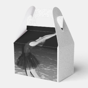 Ballotins Ballerina dans la neige -