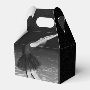 Ballotins Ballerina dans la neige -