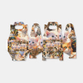 Ballotins Ballotin (Déplié)