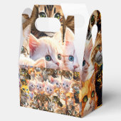 Ballotins Ballotin (Ouvert)