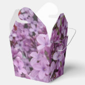 Ballotins Ballotin à la floraison rose (Ouvert)