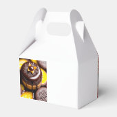 Ballotins Ballotin à thème chocolat et caramel (Arrière)