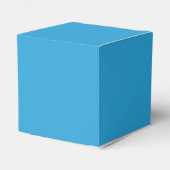 Ballotins Ballotin bleu océan (Arrière)