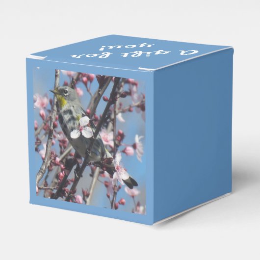 Ballotins Ballotin - Bruant dans l'arbre du prune (Verso)