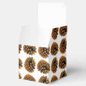 Ballotins Ballotin cônes de pin (Ouvert)