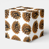 Ballotins Ballotin cônes de pin (Arrière)