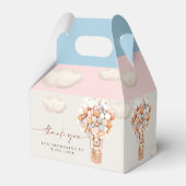 Ballotins Ballotin de ballons d'ours rose et bleu (Arrière)