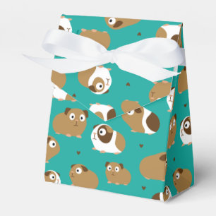 Ballotins Ballotin de cochons de Guinée mignon