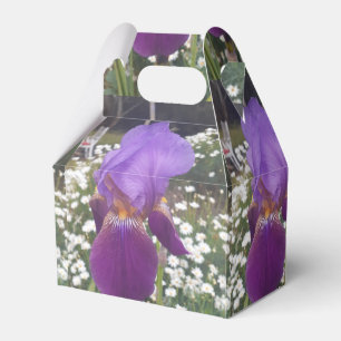 Ballotins Ballotin de gâteau d'anniversaire Iris Irises viol