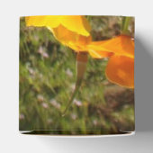 Ballotins Ballotin de pavois (Haut)