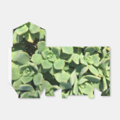 Ballotins Ballotin de style tente - Succulents verts (Déplié)