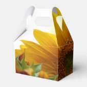 Ballotins Ballotin de tournesol d'été (Arrière)