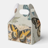 Ballotins Ballotin de transformation des papillons (Arrière)