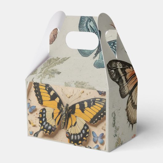 Ballotins Ballotin de transformation des papillons (Arrière)