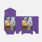 Ballotins ballotin d'eau douce nature abstraite (Déplié)