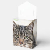 Ballotins Ballotin des aiguilles de pin (Ouvert)