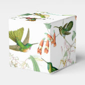 Ballotins Ballotin des colibris de Goulds (Verso)