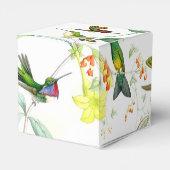 Ballotins Ballotin des colibris de Goulds (Arrière)