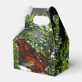 Ballotins Ballotin du premier arbre (Arrière)