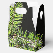 Ballotins Ballotin du premier arbre (Ouvert)