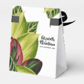 Ballotins Ballotin Feuille tropical (Arrière)