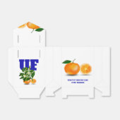 Ballotins Ballotin Florida Oranges (Déplié)