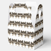 Ballotins Ballotin Gable (Ouvert)