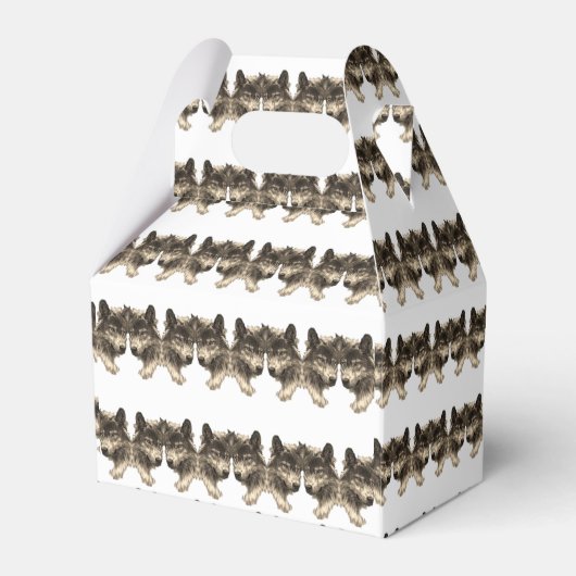 Ballotins Ballotin Gable (Verso)