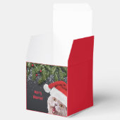 Ballotins Ballotin, Joyeux Hissmas (Ouvert)