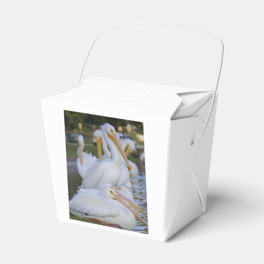 Ballotins Ballotin Pile Pélican (Verso)