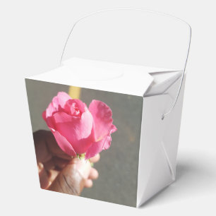 Ballotins Ballotin rose