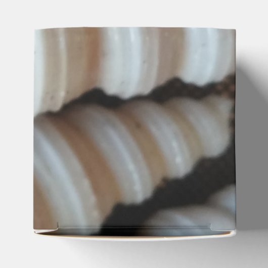 Ballotins Ballotin Sunny Seashells, Mariage Summer Beach (Haut)